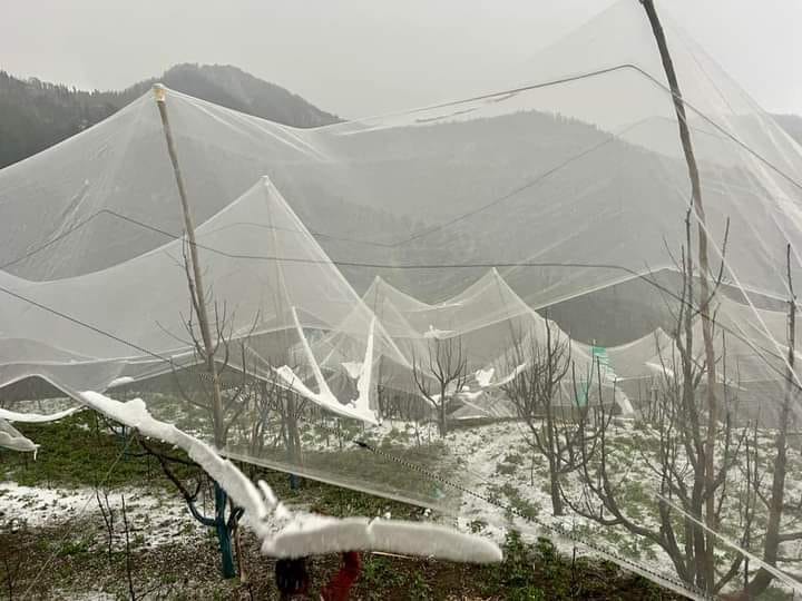 बगस्याड़ क्षेत्र में हुई भारी ओलावृष्टि संवाद बगस्याड़ क्षेत्र में हुई भारी ओलावृष्टि संवाद