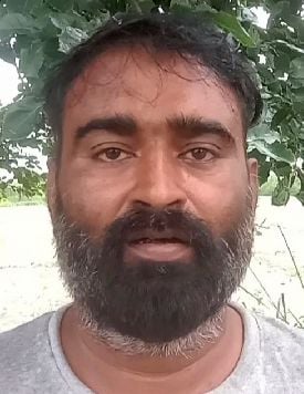 करेले का खेत। ( फाइल फोटो ) करेले का खेत। ( फाइल फोटो )