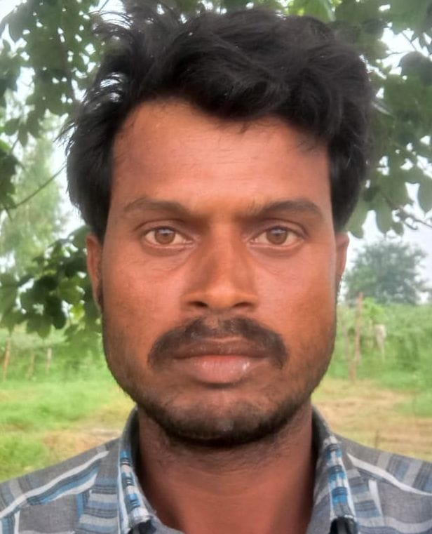 करेले का खेत। ( फाइल फोटो ) करेले का खेत। ( फाइल फोटो )
