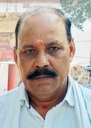 मेंथा फसल की फाइल फोटो। मेंथा फसल की फाइल फोटो।