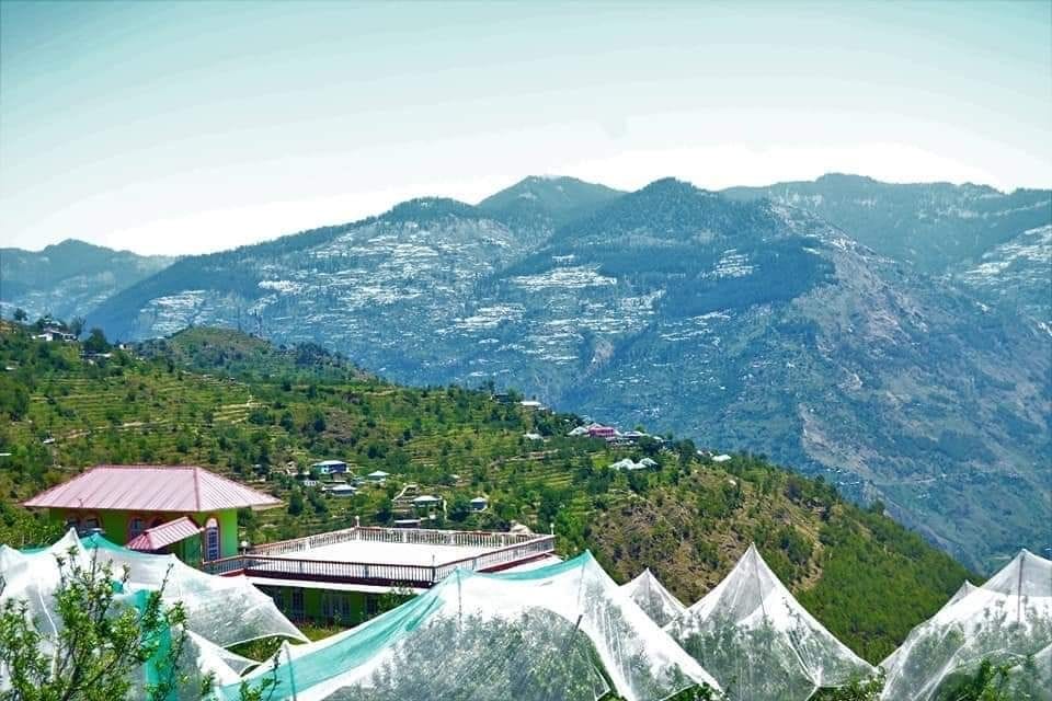 ऊंचाई वाले सेब बाहुल क्षेत्रों में एंटी हेलनेट बिछाने में जुटे बागवान ऊंचाई वाले सेब बाहुल क्षेत्रों में एंटी हेलनेट बिछाने में जुटे बागवान