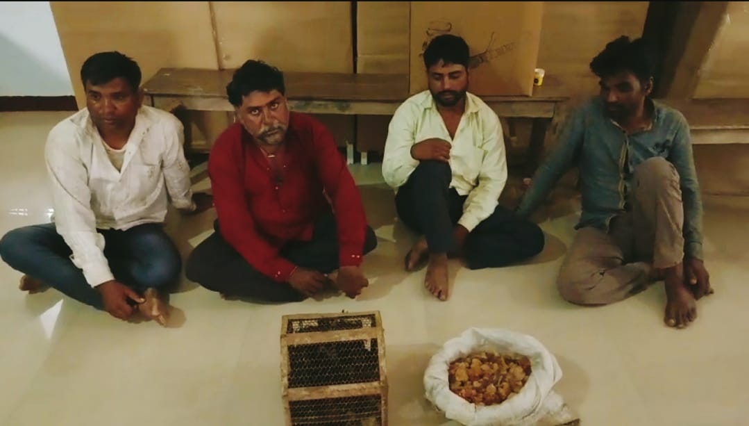 तस्करों से जप्त किये गए चमगादड़ तस्करों से जप्त किये गए चमगादड़