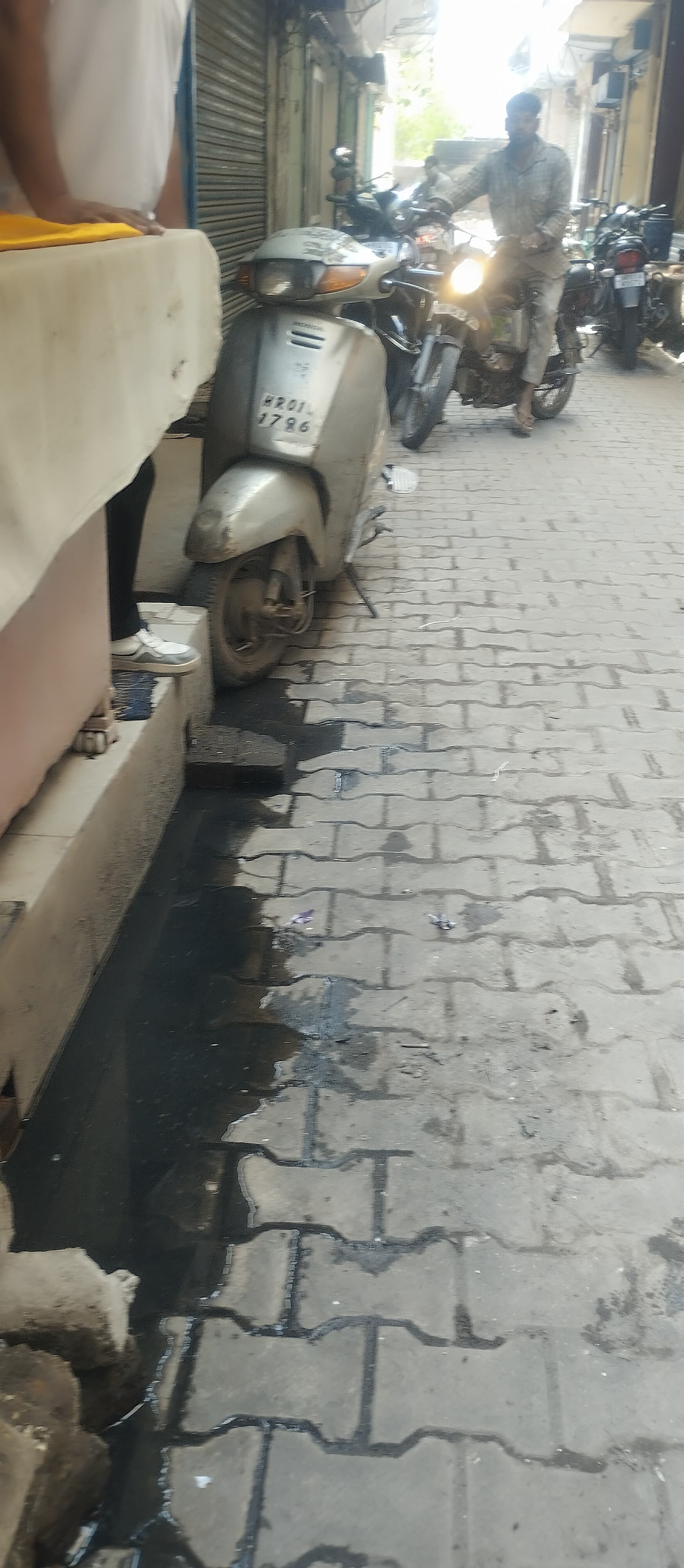 सन्नी। सन्नी।