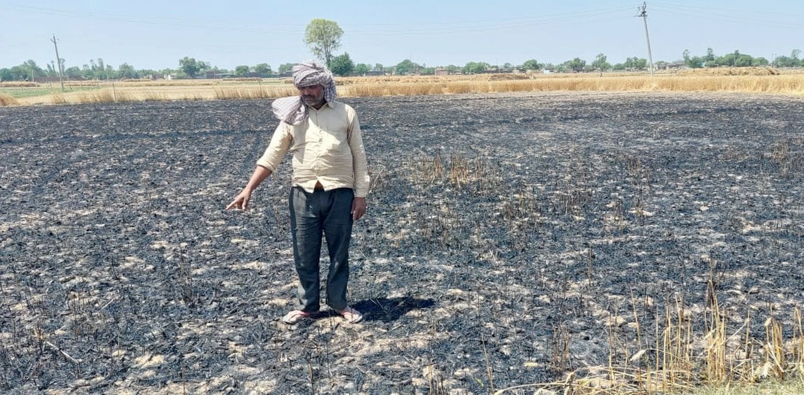 बगरैन क्षेत्र के गाँव रानी गौटिया में आग से जली गेंहू की फसल। संवाद