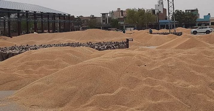 23जेएनडी24 : जींद की अनाजमंडी में हल्की बूंदाबांदी के कारण भीगा गेहूं। संवाद 23जेएनडी24 : जींद की अनाजमंडी में हल्की बूंदाबांदी के कारण भीगा गेहूं। संवाद