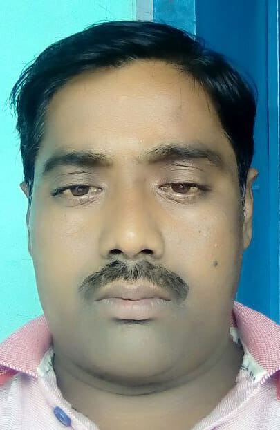 बांकेगंज में लहलहाती साठा धान की फसल। बांकेगंज में लहलहाती साठा धान की फसल।