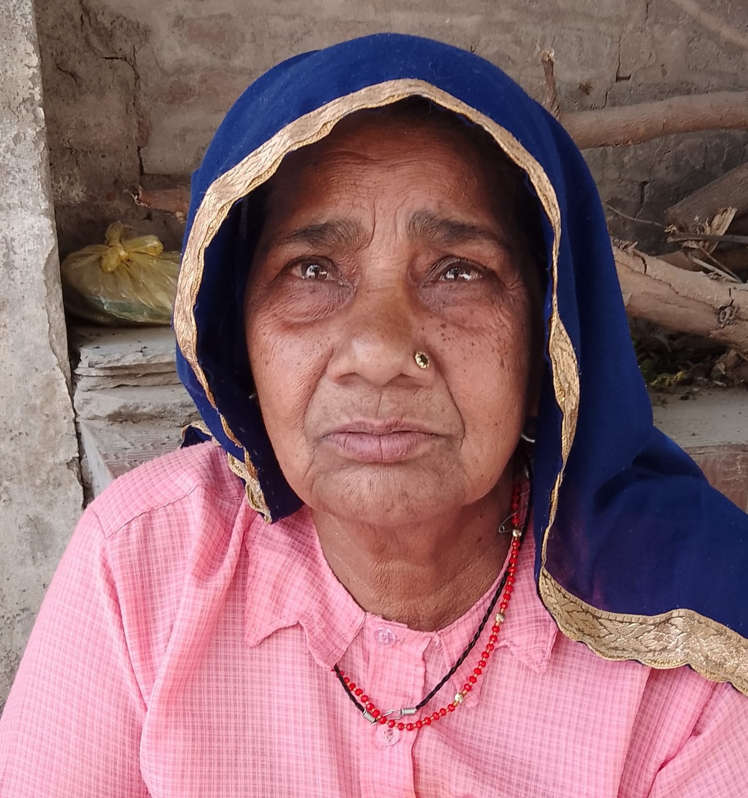 फोटो- 12 नारायणी देवी।