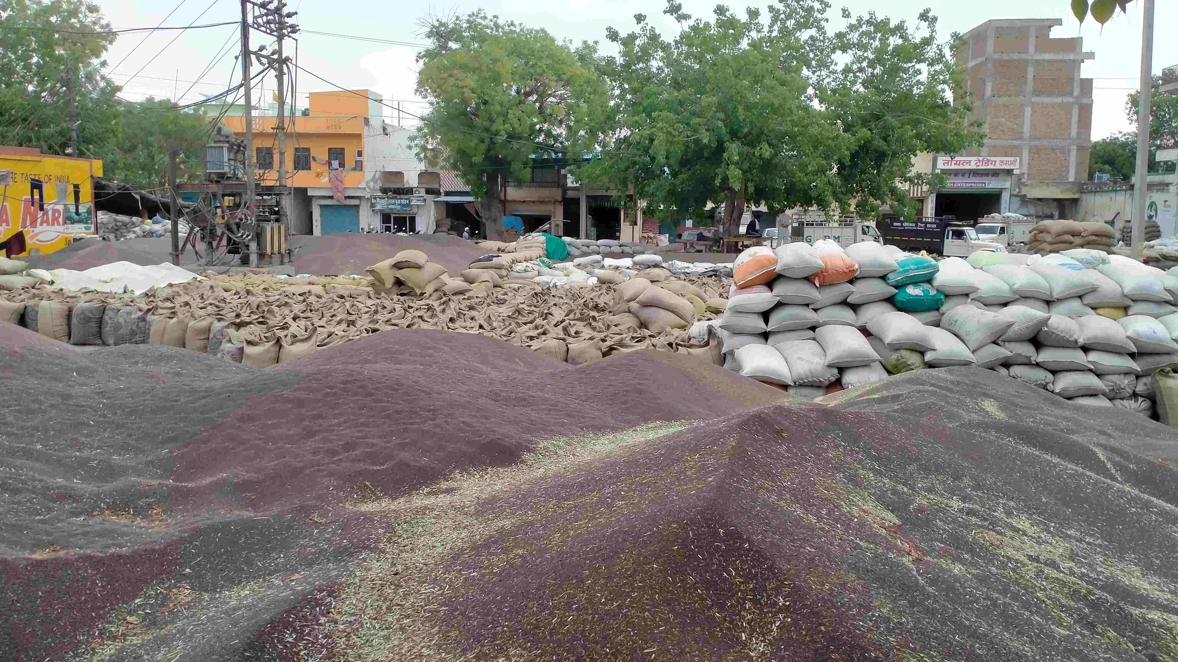 फोटो संख्या:77- बस स्टैंड के वर्कशॉप में अस्थाई सरसों खरीद केंद्र के लगा ताला व रखी सरसों--स्रो