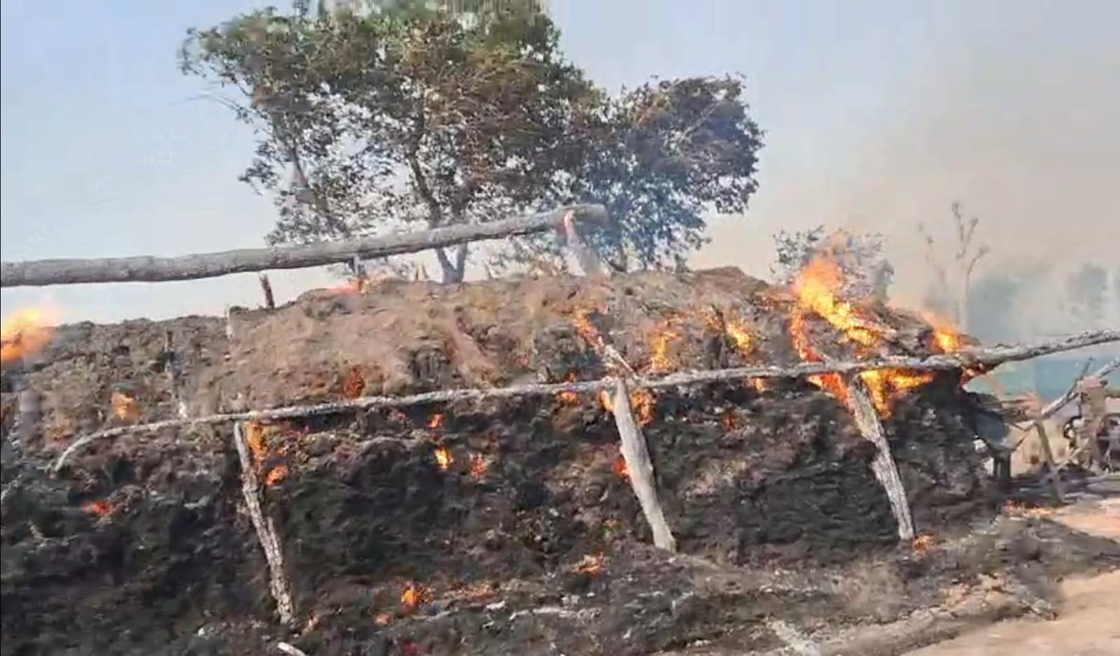 खेतो में लगी आग को बुझाते किसान । संवाद