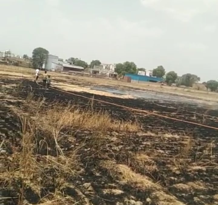 फोटो संख्या:68- गांव स्याना में बणी में लगी आग को बुझाते दमकल विभाग के कर्मचारी-स्रोत-- दमकल वि फोटो संख्या:68- गांव स्याना में बणी में लगी आग को बुझाते दमकल विभाग के कर्मचारी-स्रोत-- दमकल वि