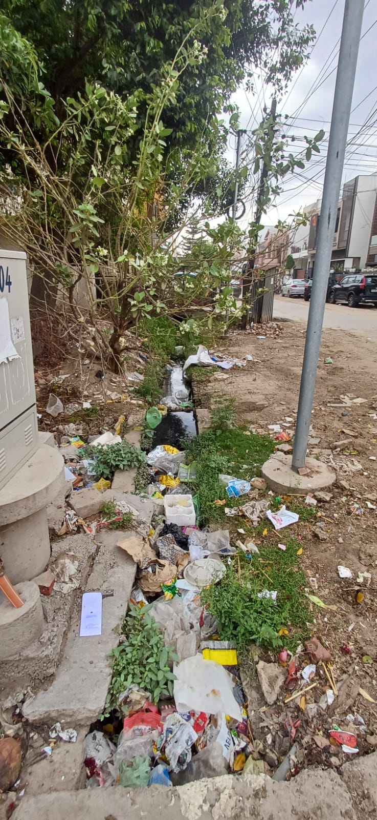 छावनी के अमरपुरी में खाली प्लाट में लगा गंदगी का ढेर छावनी के अमरपुरी में खाली प्लाट में लगा गंदगी का ढेर