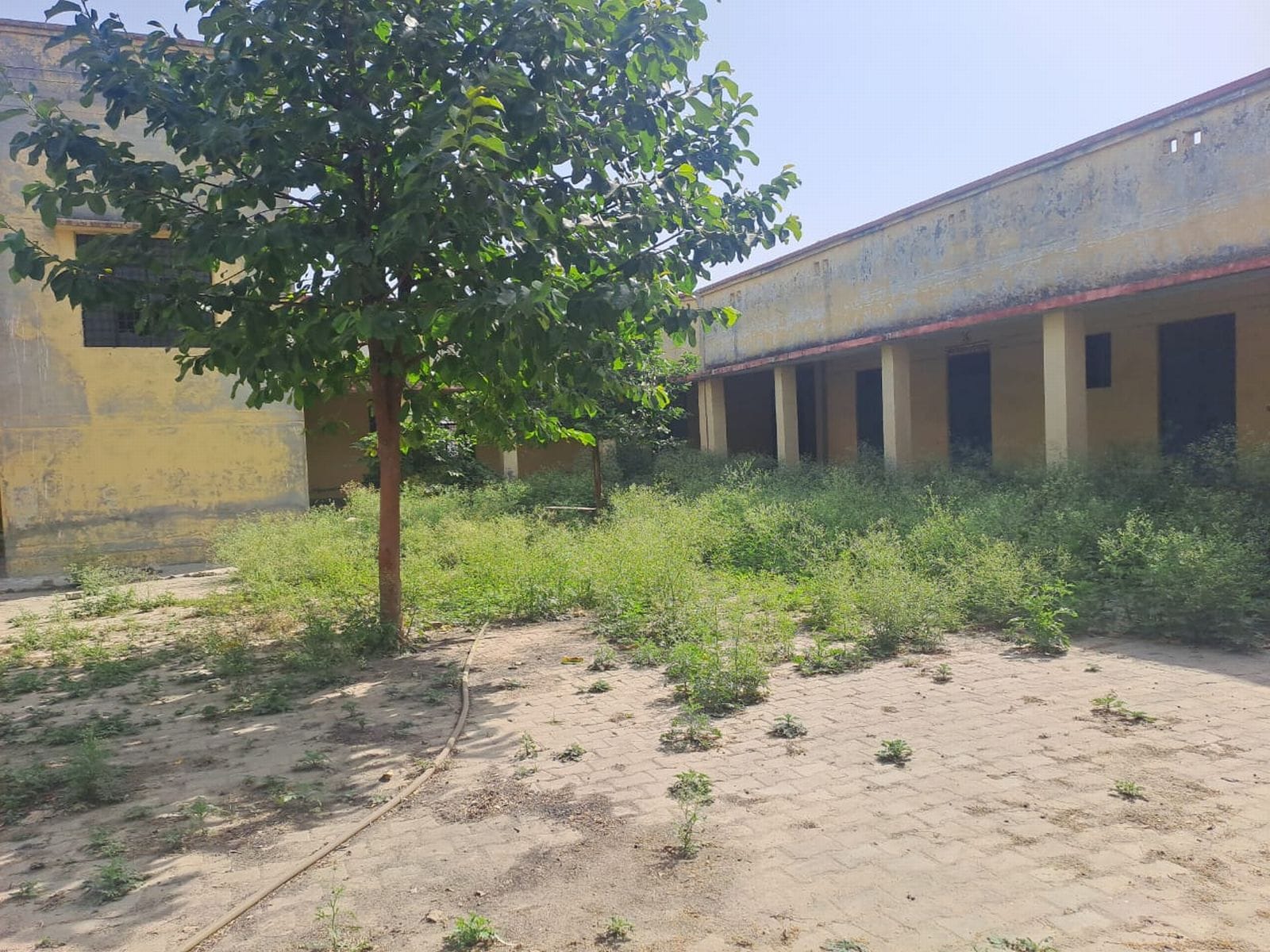 चेयरमैन, इशरत अली खां।