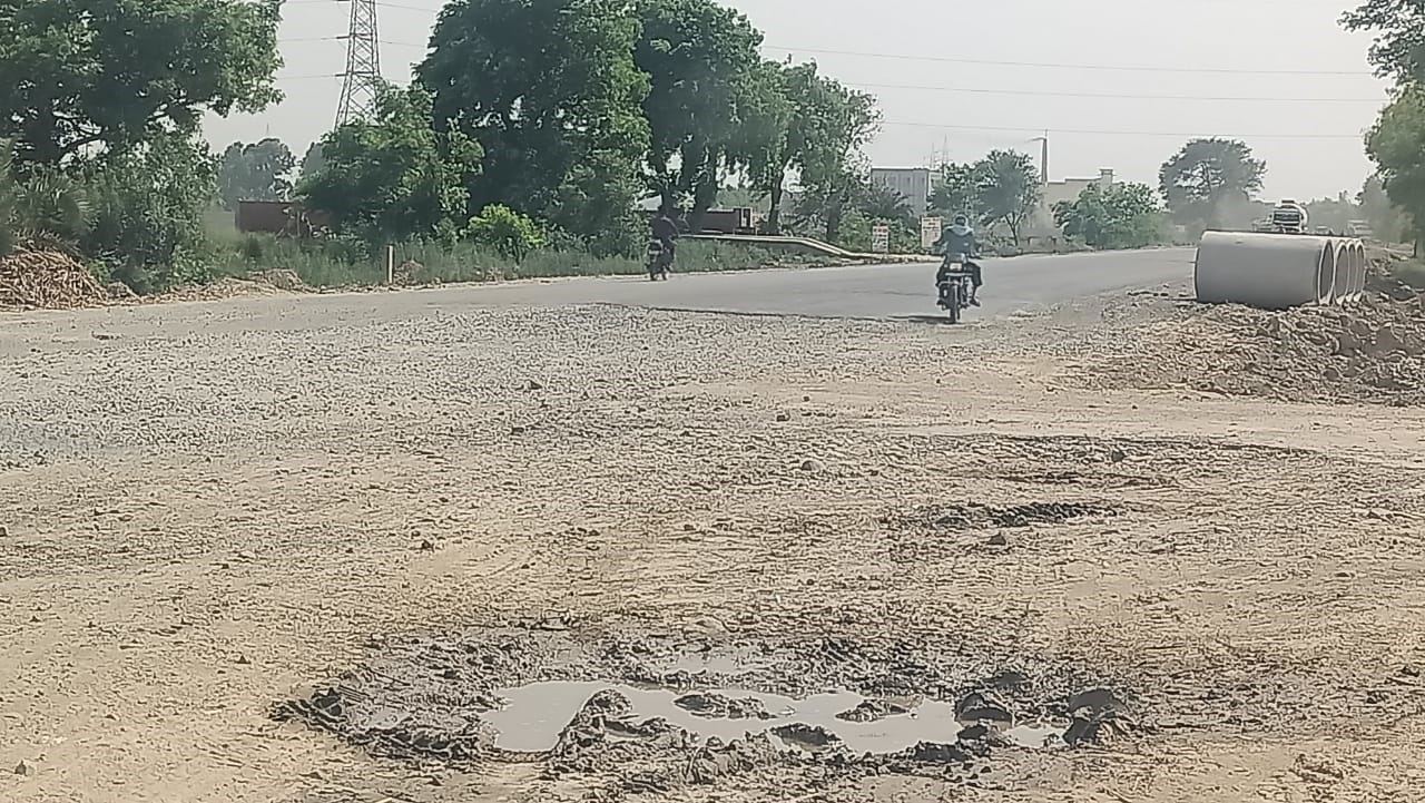 शाने अली, व्यापारी, सिंधौली शाने अली, व्यापारी, सिंधौली