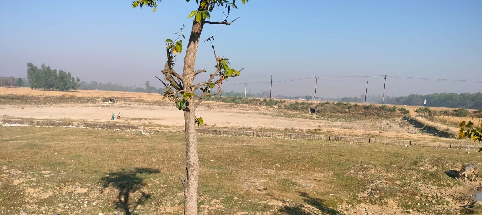 तेजवापुर के ग्राम पंचायत नहकटिया में सूखा पड़ा अमृत सरोवर। तेजवापुर के ग्राम पंचायत नहकटिया में सूखा पड़ा अमृत सरोवर।