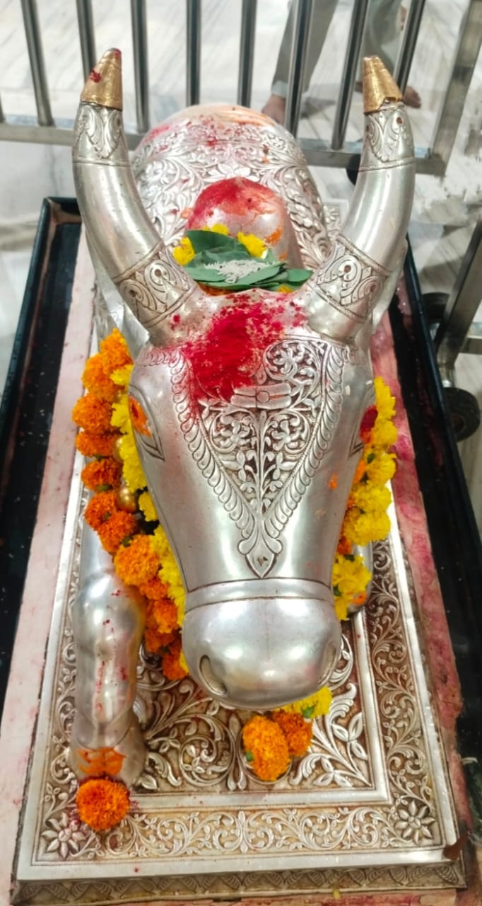 भस्मारती मे भांग और डॉयफ्रूट से सजे बाबा महाकाल
