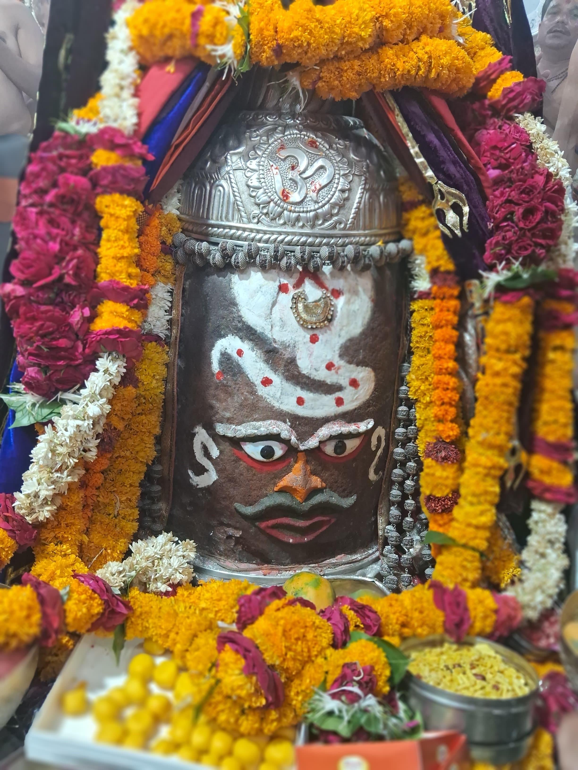 भस्म आरती मे बाबा महाकाल के शीश पर विराजमान हुए सर्प देवता हुआ अद्भुत श्रंगार