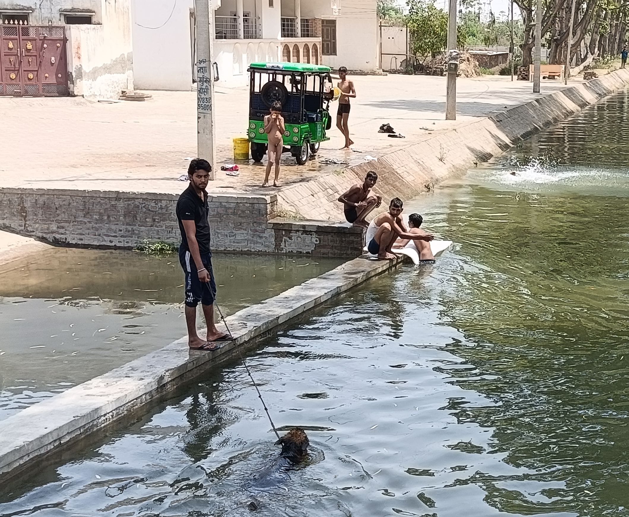 जूई नहर में कुत्ते को नहलाता युवक। जूई नहर में कुत्ते को नहलाता युवक।