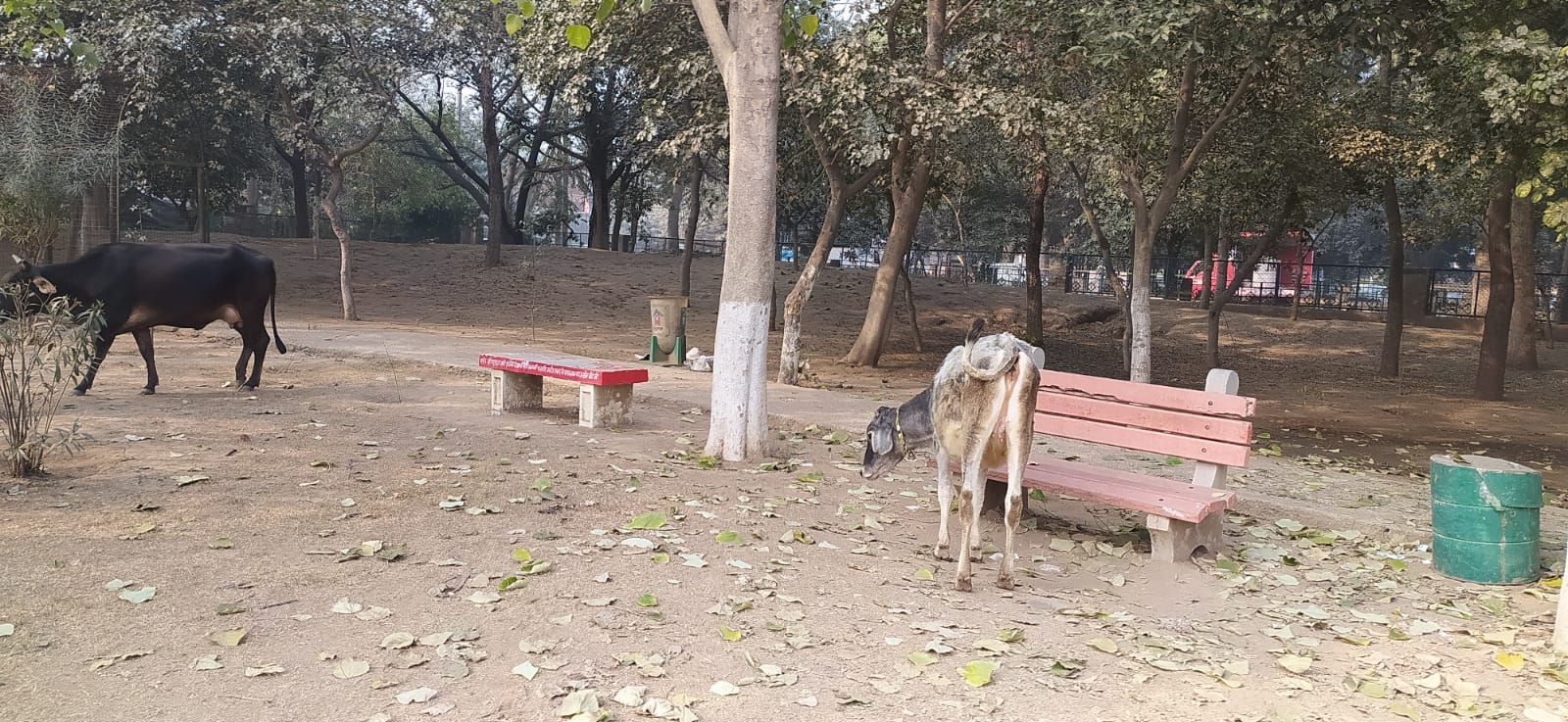रेवाड़ी। नेहरू पार्क में टूटे पड़े झूले। संवाद रेवाड़ी। नेहरू पार्क में टूटे पड़े झूले। संवाद
