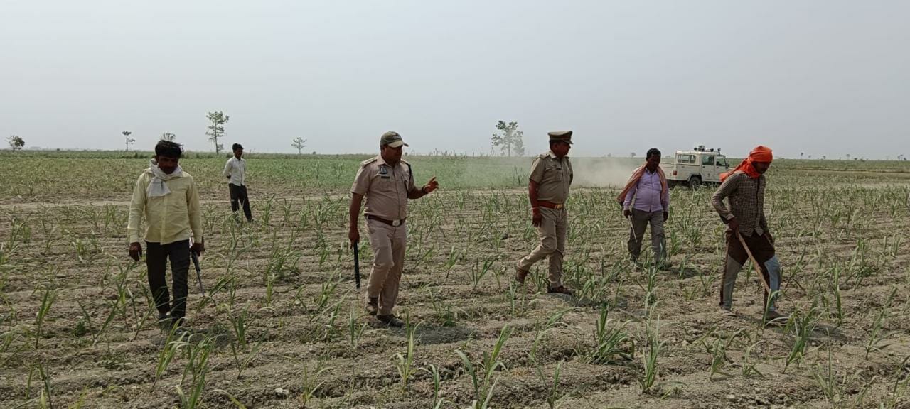 तेंदुए के शव को सुरक्षित करती वन कर्मियों की टीम। स्त्रोत-वन विभाग।