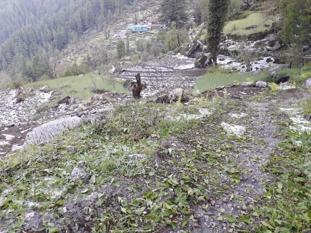 15/20 घाटी की कूट पंचायत में ओलों ने बरपाया कहर 15/20 घाटी की कूट पंचायत में ओलों ने बरपाया कहर