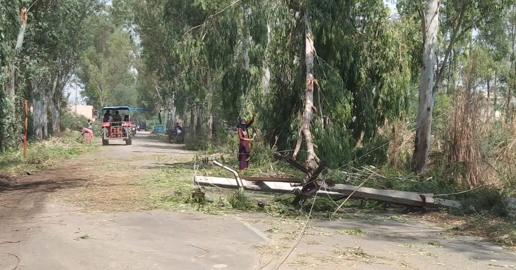सोनीपत के गांव ककरोई में सोनीपत जाने वाले मार्ग के बीच में आंधी के कारण टूटा पड़ा पेड़। संवाद सोनीपत के गांव ककरोई में सोनीपत जाने वाले मार्ग के बीच में आंधी के कारण टूटा पड़ा पेड़। संवाद