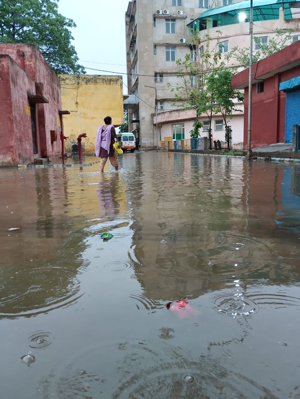 पीलीभीत में शनिवार की सुबह हुई बारिश के बाद नगर पालिका परिषद कार्यालय परिसर में हुआ जलभराव । स पीलीभीत में शनिवार की सुबह हुई बारिश के बाद नगर पालिका परिषद कार्यालय परिसर में हुआ जलभराव । स