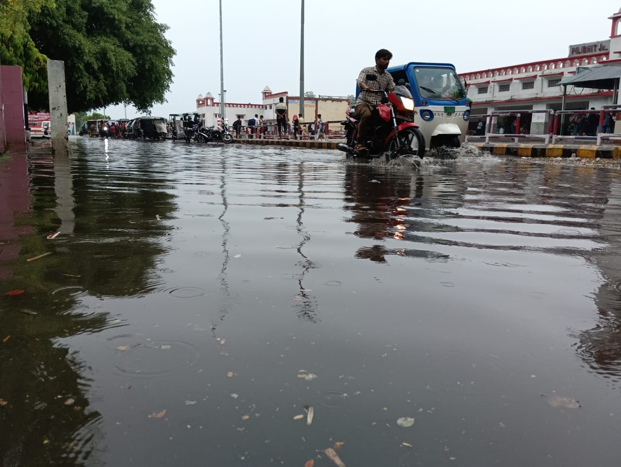 पीलीभीत में शनिवार की सुबह हुई बारिश के बाद नगर पालिका परिषद कार्यालय परिसर में हुआ जलभराव । स पीलीभीत में शनिवार की सुबह हुई बारिश के बाद नगर पालिका परिषद कार्यालय परिसर में हुआ जलभराव । स