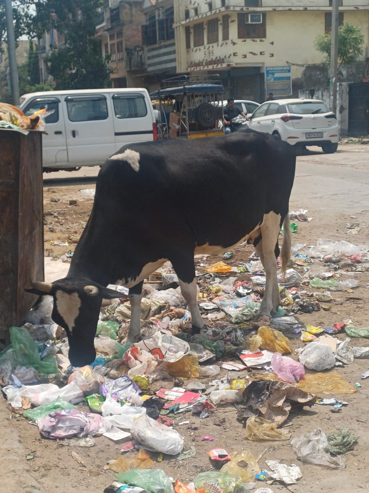 होलसेल सब्जी मंडी के बाहर लगा गंदगी का ढेर
