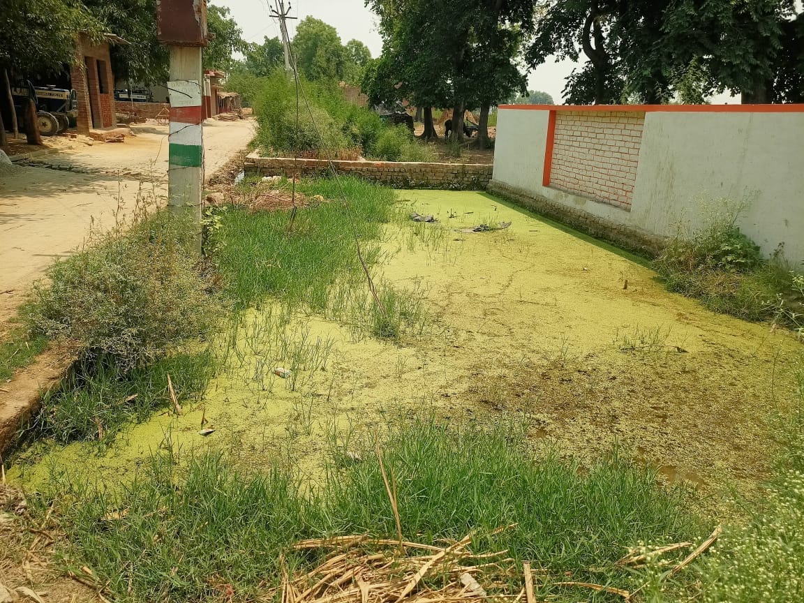 रितेश यादव। स्रोत: स्वयं रितेश यादव। स्रोत: स्वयं
