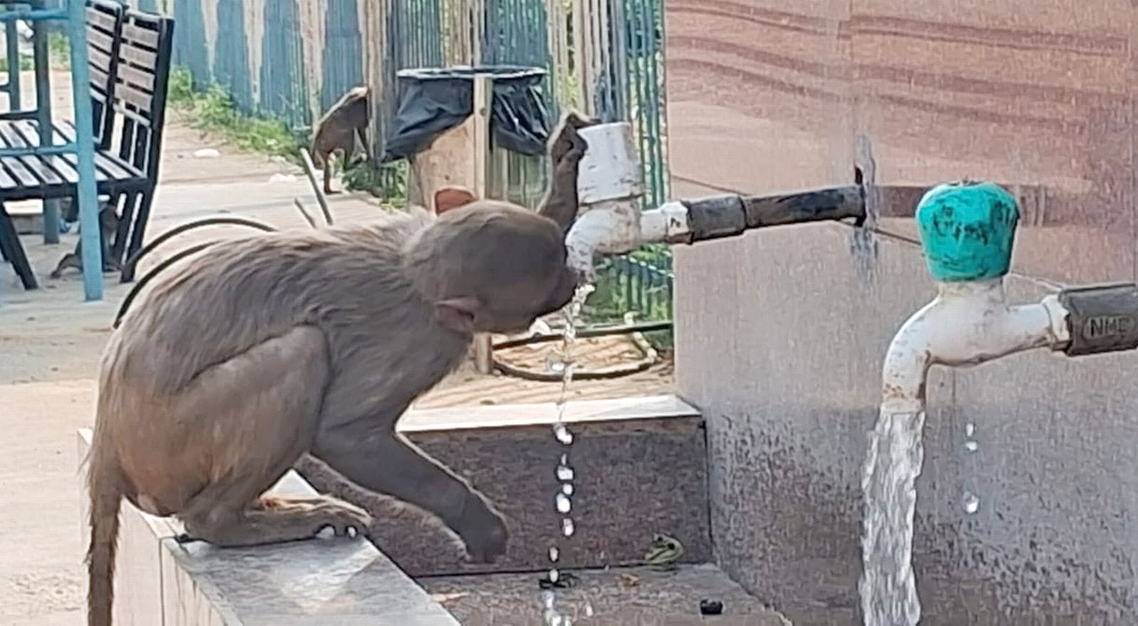 भीषण गर्मी में धूप से बचाव को छाता लगाकर जाती महिलाएं। संवाद भीषण गर्मी में धूप से बचाव को छाता लगाकर जाती महिलाएं। संवाद