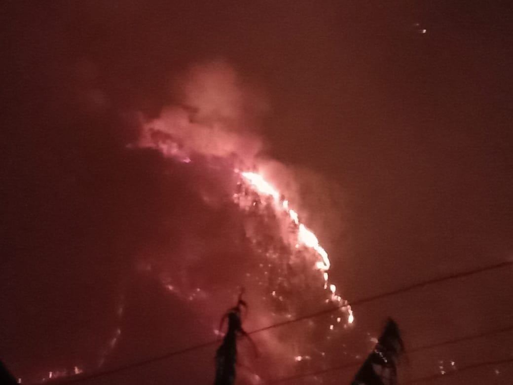 कुमारहट्टी में रेलवे ट्रैक के ठीक ऊपर जंगल में आग पर काबू पाते हुए। संवाद कुमारहट्टी में रेलवे ट्रैक के ठीक ऊपर जंगल में आग पर काबू पाते हुए। संवाद