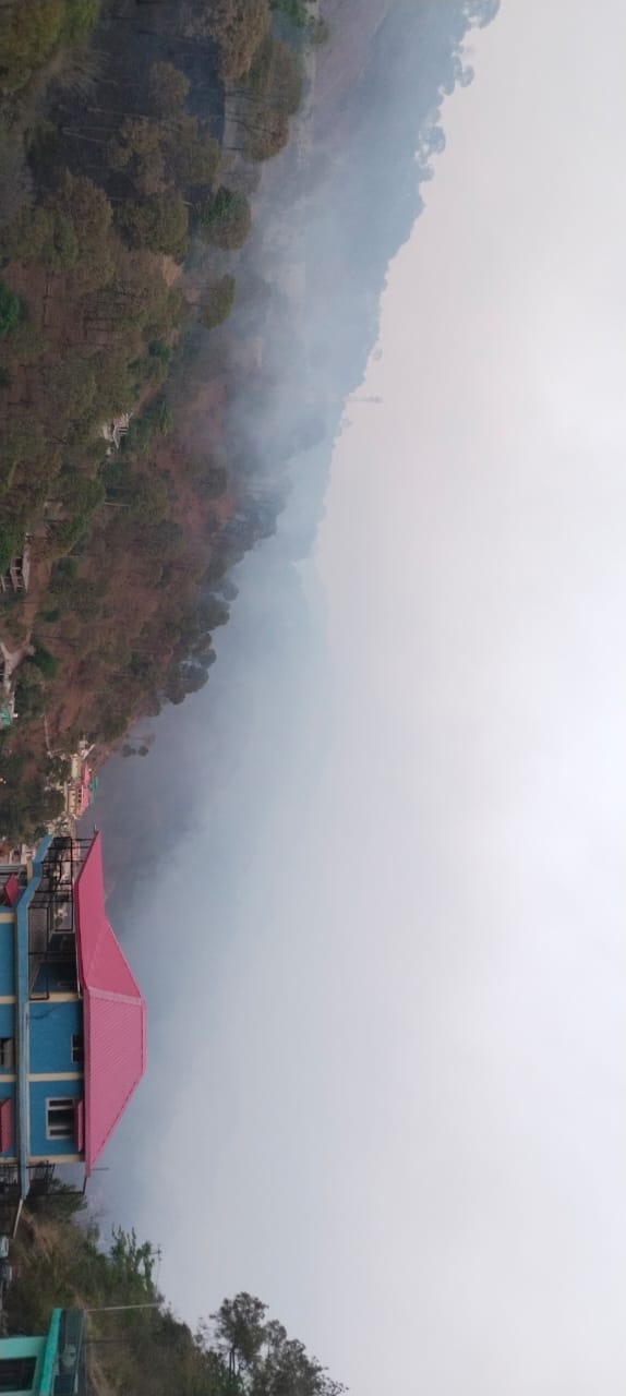 कुमारहट्टी के समीप जंगल में लगी आग। संवाद कुमारहट्टी के समीप जंगल में लगी आग। संवाद