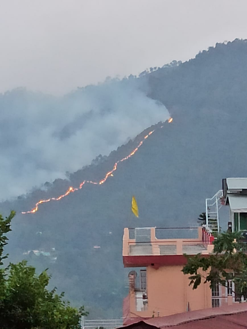 कुमारहट्टी के समीप जंगल में लगी आग। संवाद कुमारहट्टी के समीप जंगल में लगी आग। संवाद