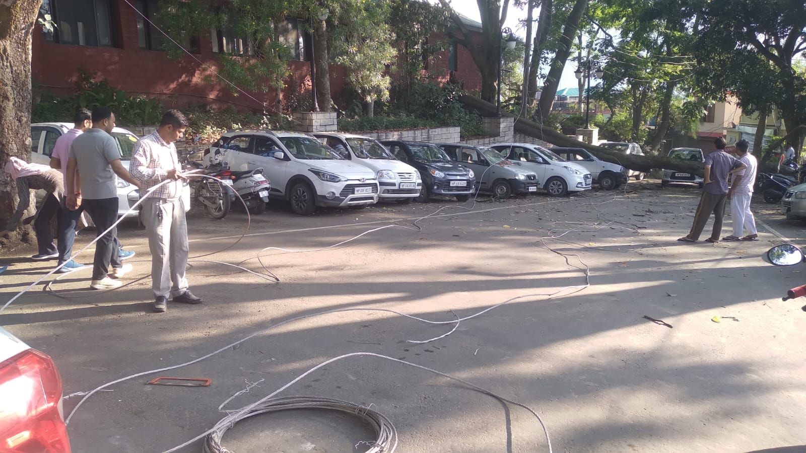 मंडी के टारना में देर रात को तुफान से गाडी़ पर गिरा पेड़ संवाद मंडी के टारना में देर रात को तुफान से गाडी़ पर गिरा पेड़ संवाद