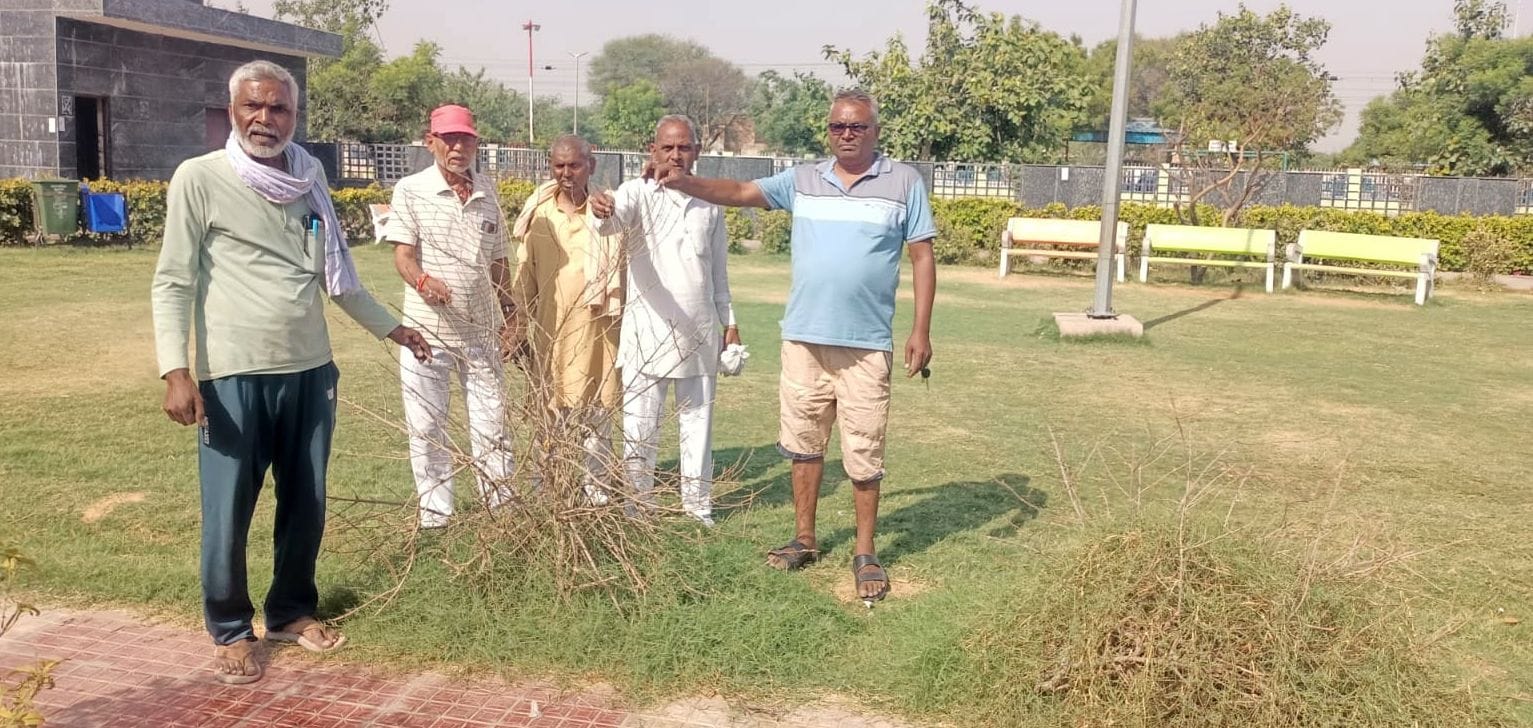 29जेएनडी10-पार्क की हालत को दिखाते हुए पार्षद। संवाद 29जेएनडी10-पार्क की हालत को दिखाते हुए पार्षद। संवाद