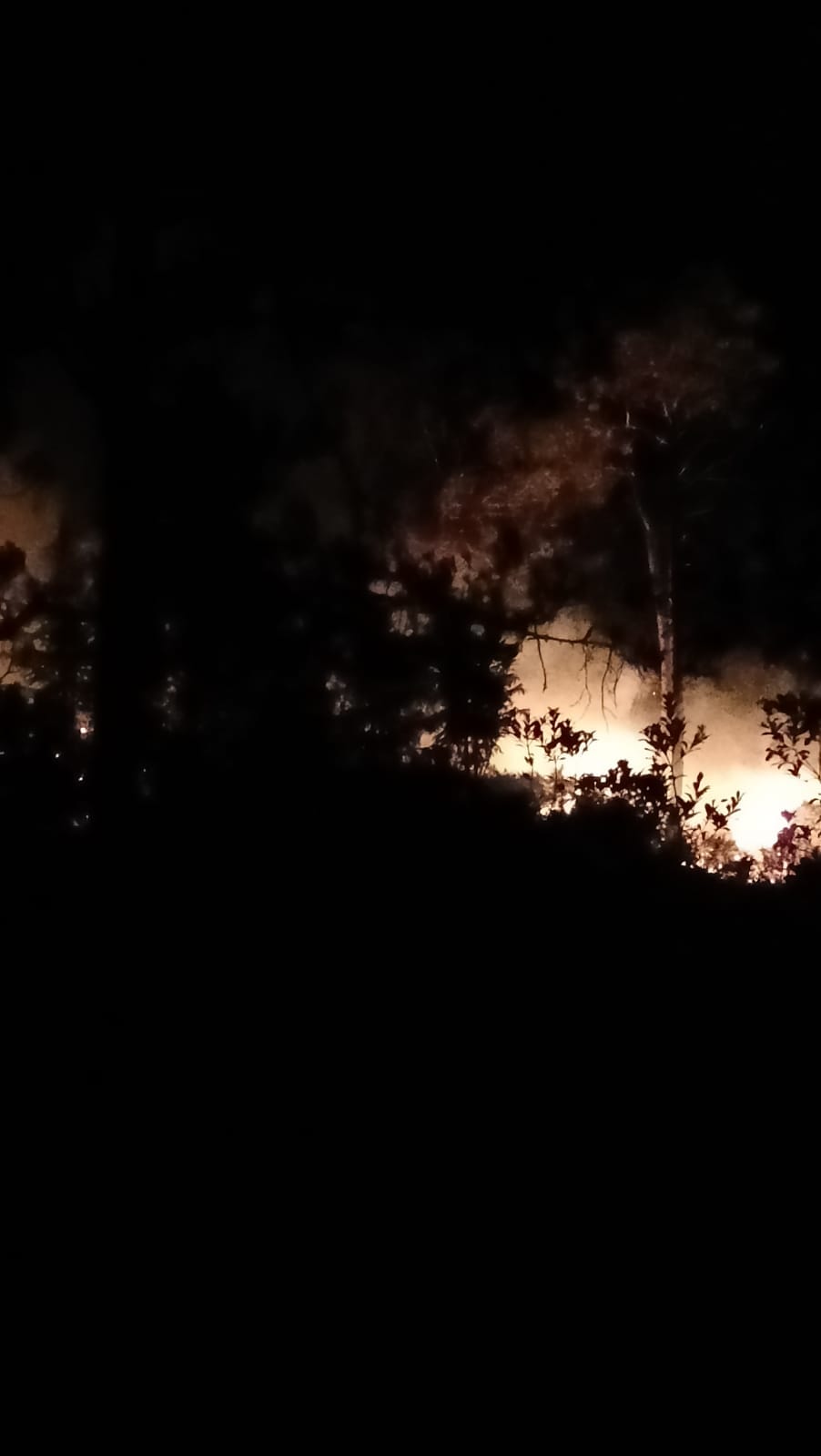 धुआंदेवी के जंगलों में लगी भयंकर आग धुआंदेवी के जंगलों में लगी भयंकर आग