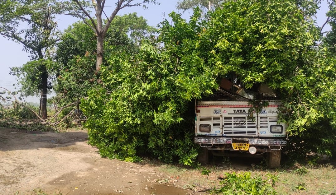 फरधान में आंधी के दौरान गिरे पेड़ से क्षतिग्रस्त मकान। संवाद फरधान में आंधी के दौरान गिरे पेड़ से क्षतिग्रस्त मकान। संवाद