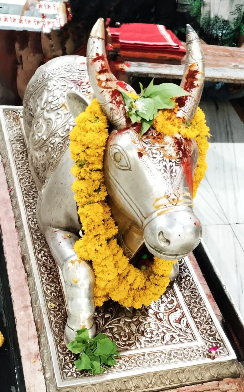 भस्म आरती श्रंगार....बाबा महाकाल ने नए त्रिशूल का त्रिपुंड लगाकर दिए दर्शन