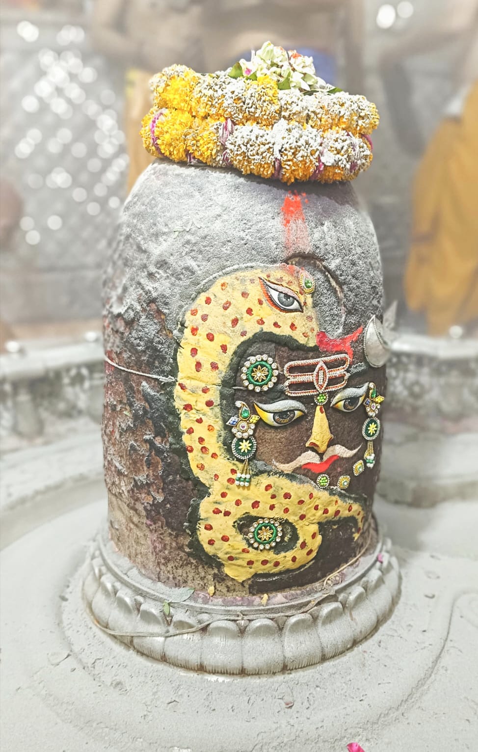 सर्प से सजे बाबा महाकाल....ऐसा श्रंगार हुआ कि सभी श्रद्धालु देखते ही रह गए