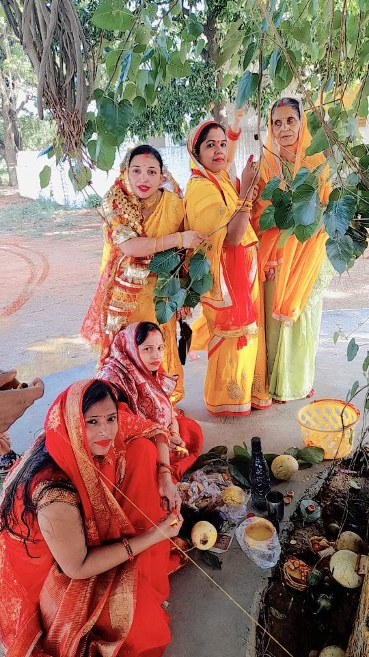 ऋषि आश्रम में वट वृक्ष का पूजन करतीं सुहागिनें। संवाद ऋषि आश्रम में वट वृक्ष का पूजन करतीं सुहागिनें। संवाद