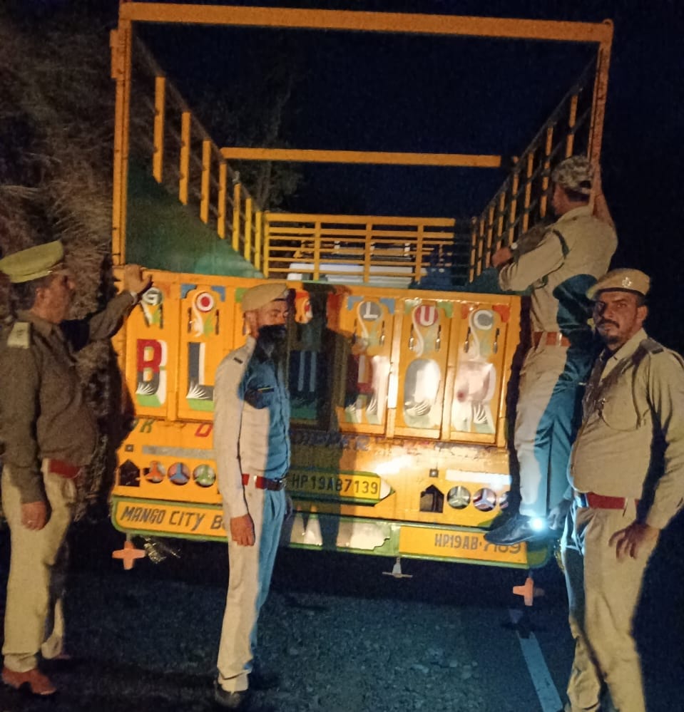 अंब क्षेत्र में वाहनों की जांच करते वनविभाग कर्मी।संवाद