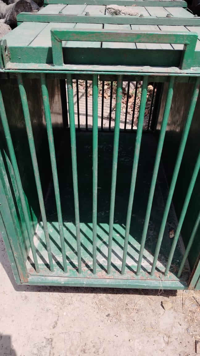 तेंदुए की निगरानी के लिए कैमरा लगाते वनकर्मी