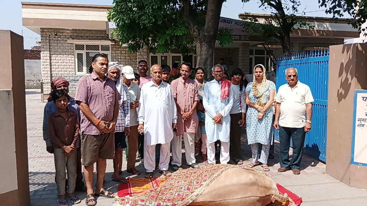 नगर परिषद संतोषगढ़ के पशु चिकित्सालय में प्रभारी डॉ दीपशिखा गोशाला कमेटी के पदाधिकारियों संग नगर परिषद संतोषगढ़ के पशु चिकित्सालय में प्रभारी डॉ दीपशिखा गोशाला कमेटी के पदाधिकारियों संग