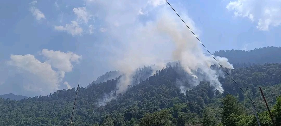 तकलेच थेडा बीट के जंगल में लगी आग