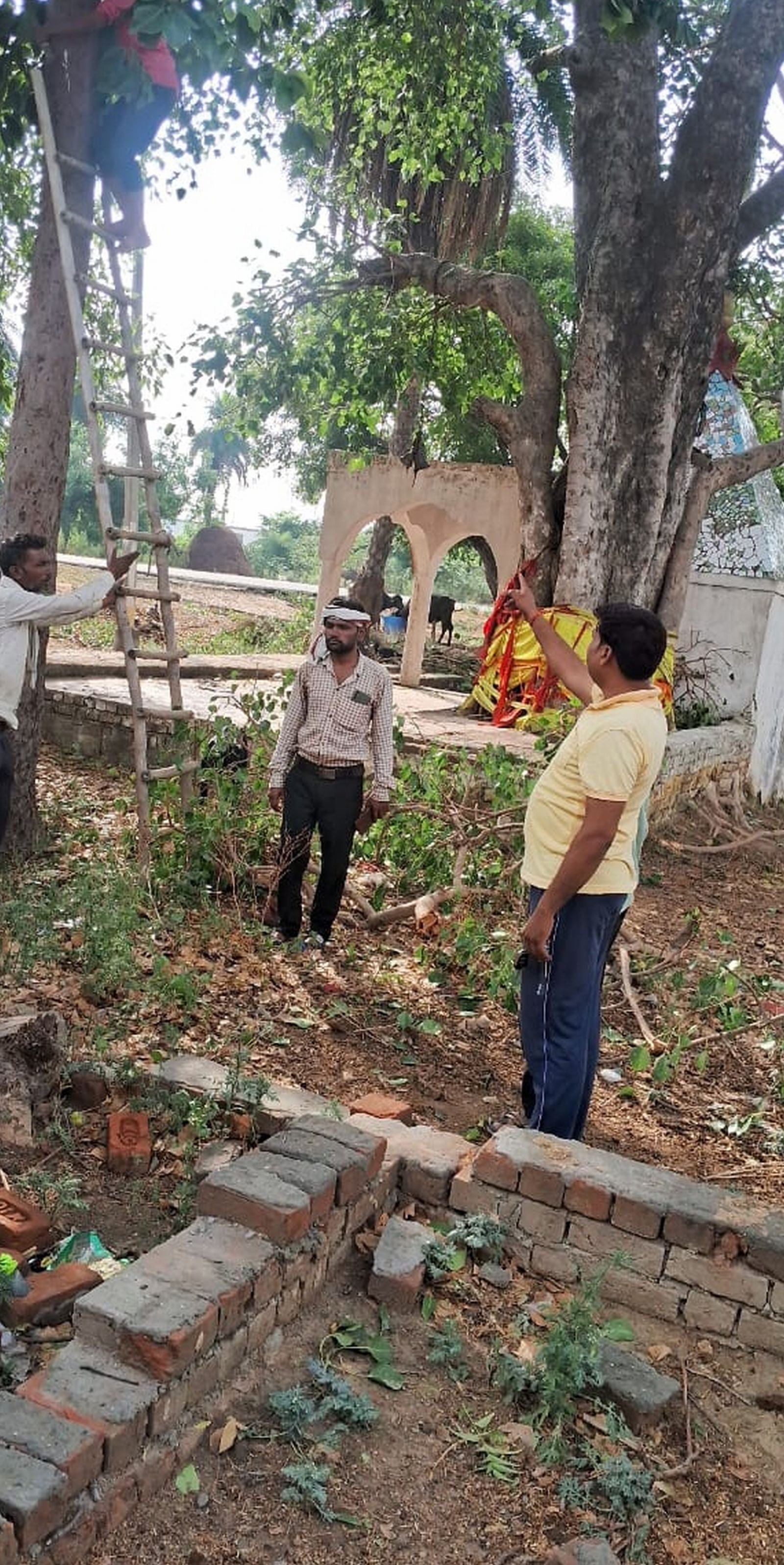 उघैती में गिरा पड़ा खंभा। संवाद उघैती में गिरा पड़ा खंभा। संवाद