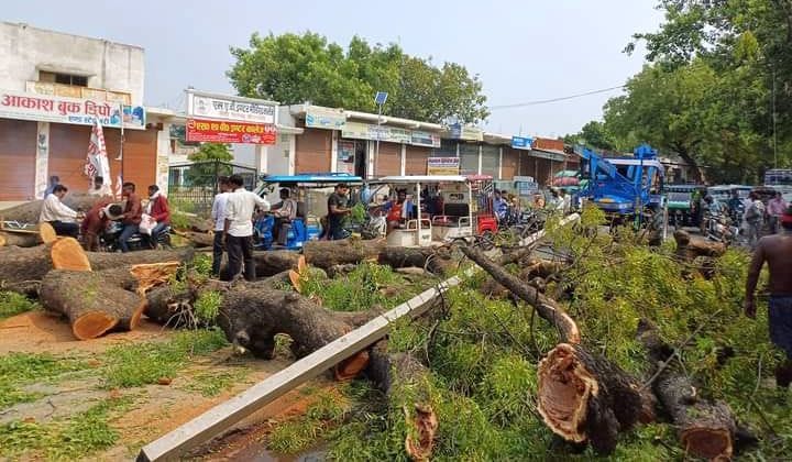 सिराथू से सैनी मार्ग पर पेड़ गिरने से लगा जाम।     संवाद