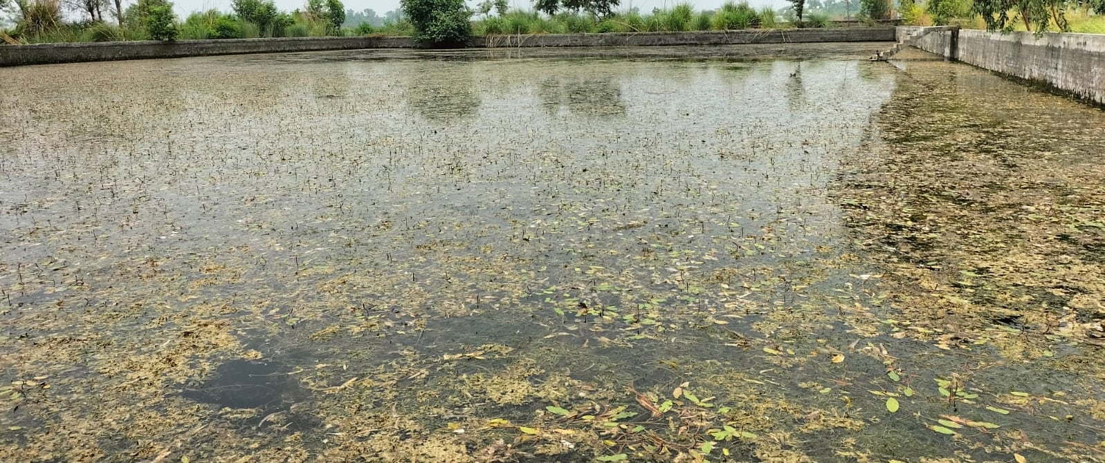 25सीटीके01... अशोक गांव कन्हेली। संवाद