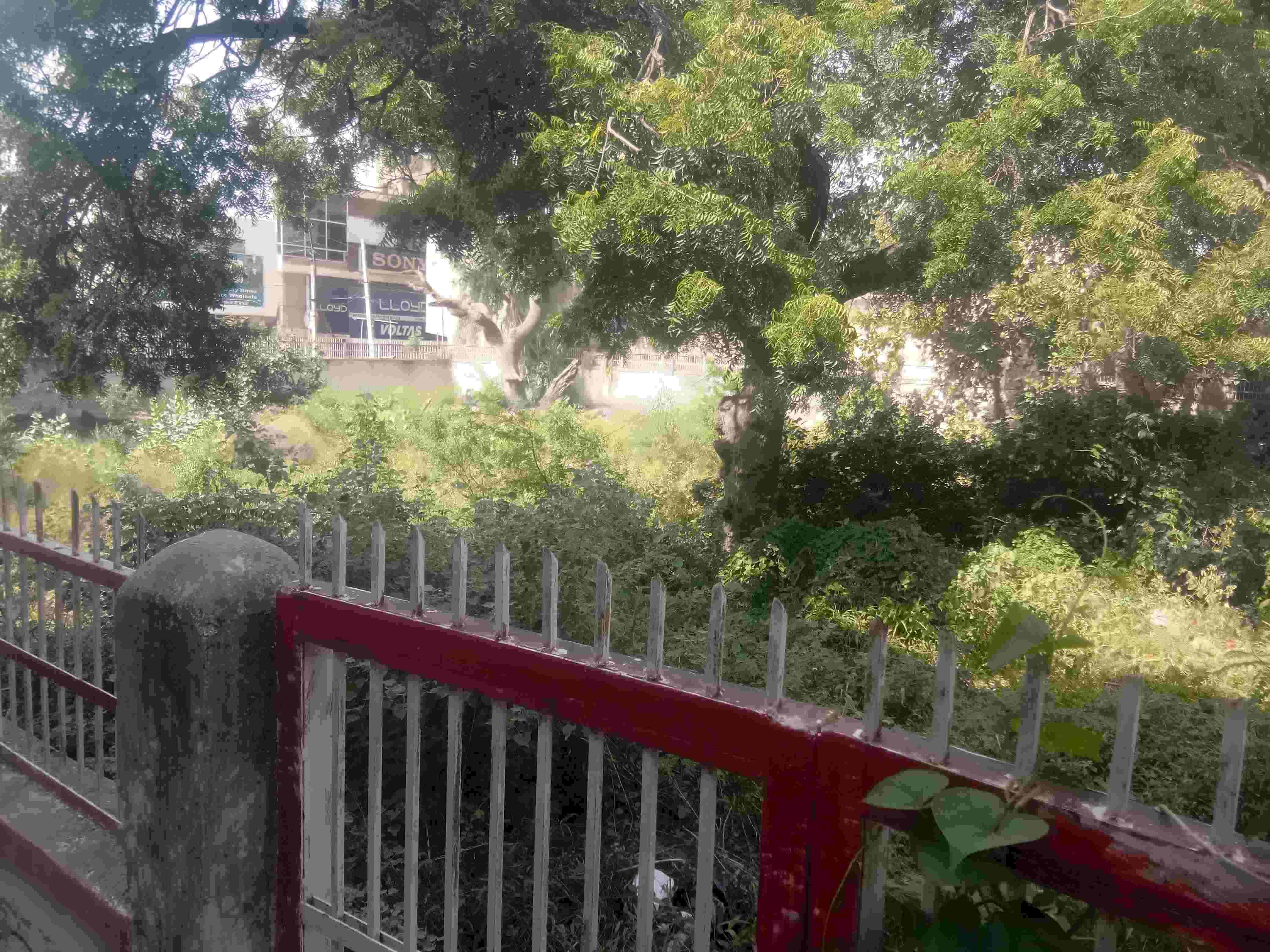 फोटो संख्या:60- पुराने डाकघर के गेट पर लगा ताला--स्रोत--संवाद फोटो संख्या:60- पुराने डाकघर के गेट पर लगा ताला--स्रोत--संवाद