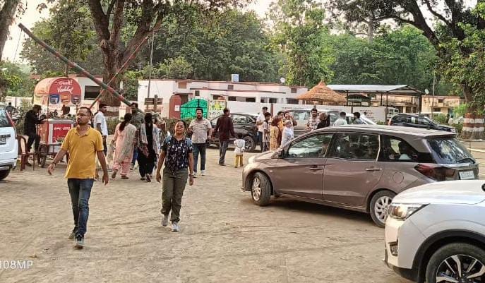 जंगल सफारी के दौरान मार्ग पर चहलकदमी करता बाघ। स्त्रोत: सैलानी