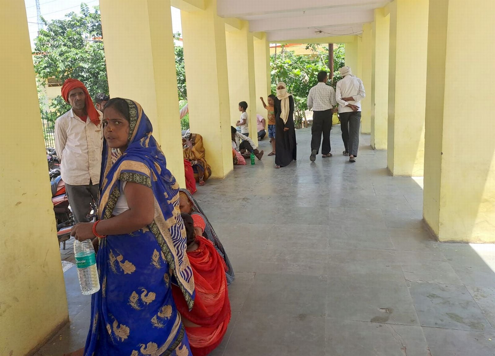इस्लामनगर में पिवारी गांव में टूटा पेड़। संवाद इस्लामनगर में पिवारी गांव में टूटा पेड़। संवाद